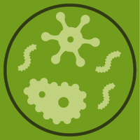 Applied Microbiology MDPI (@mdpiapplied) 's Twitter Profile