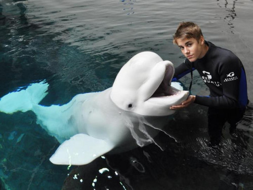 VerifiedBelieber ♥ @justinbieber ♥ sexy lips, dirty hips, nice ass, high class, sexy smile, BIEBER STYLE! ♥ ι ωιℓℓ ηєνєя ѕαу ηєνєя ι ωιℓℓ ƒιgнт тιℓℓ ƒσяєνєя ♥