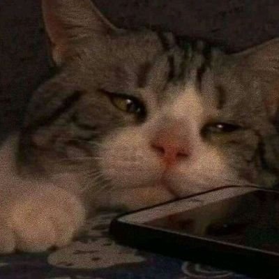 KoKoxd1221's profile picture. xd?