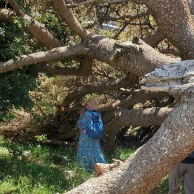 I'm a Spiritual Traveler, Nature Wanderer, Community Builder, and Holistic Learner 📿✈️🌸💡