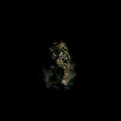 NareshpP1234567's profile picture.