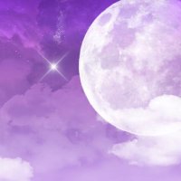 💫✨💜🌸💜水月鏡花💜🌸💜✨💫(@1mitsukikyoka) 's Twitter Profile Photo