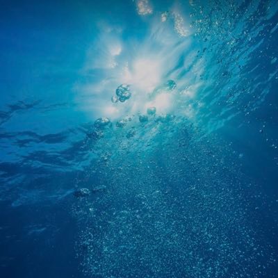 CanKiranel's profile picture. 