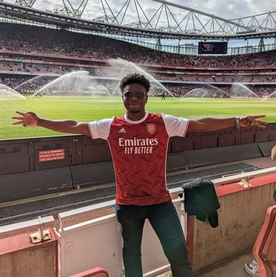 I am Nonye, an Engineer, Arsenal Season Ticket Holder, and a Gentleman..