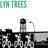 BrooklynTrees