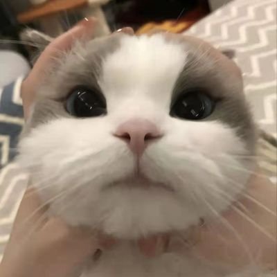 Zach_Liu777's profile picture. 很少玩推特，看见想说的就说两句