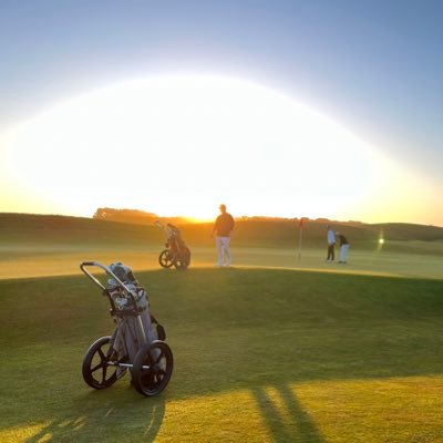 toddlabrum's profile picture. 
