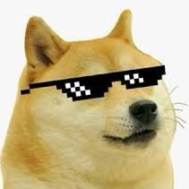 sonderalone's profile picture. ¯\_(ツ)_/¯