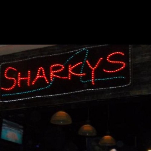 sharkypoulton10's profile picture. 