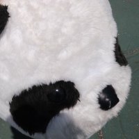 たぴ (@tapitapi_24) 's Twitter Profile