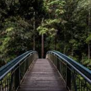 pingelement's profile picture. 相互互助起来，OK？