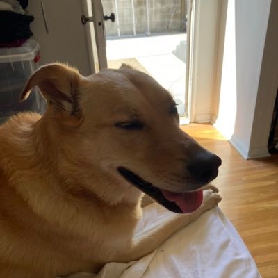 bennyneedles13's profile picture. 