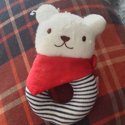 2022年春生まれ幼稚園生一人育ててるアラフォーパーママ。両実家遠方、転勤有。love野球⚾️FIGHTERS箱推し🦊