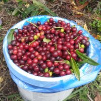 demir (@sebahattin77) Twitter profile photo