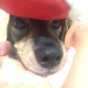 Amanda Paez - @AmandaP63951419 - Twitter