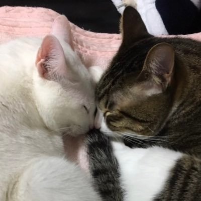 じまさんのプロフィール画像