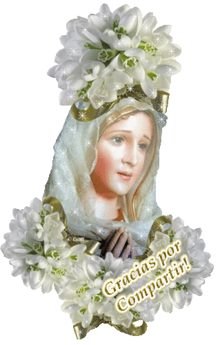 MUJER RELIGIOSA CRISTIANA CATOLICA Y APOSTOLICA.
NO SOY MONJA PERO ME GUSTA LA RELIGION.
PAZ HERMANOS Y BENDICIONES A TODOS.
