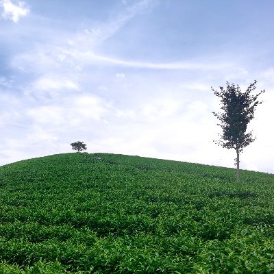 Cxzzd4's profile picture. please  follow back