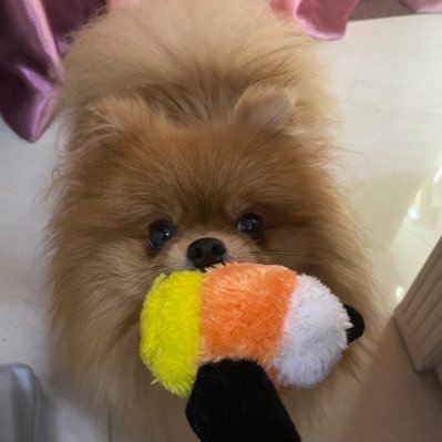 chordhe03's profile picture. 