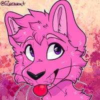 🌸socke🌸 🇺🇦 (@socke_) Twitter profile photo