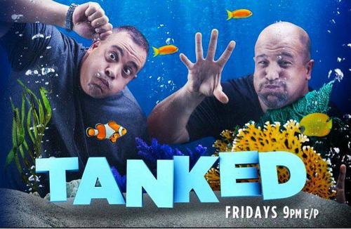 ATMAQUARIUMS's profile picture. The world leader in custom acrylic aquariums