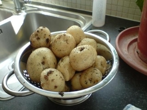 Determined to observe all whilst disguised as 5 lbs of potatoes.
Taking it one day at a time.
#TheBees #TheArsenal & #TheArchers 
#FBPE #RecoveryPosse