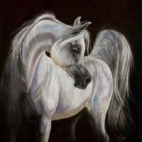سبحان الله (@xxxz1120) Twitter profile photo