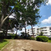 ! (@_nn0708) Twitter profile photo