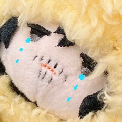 Amazonprime__jp's profile picture. 鍵開けないしフォロー許可もしません