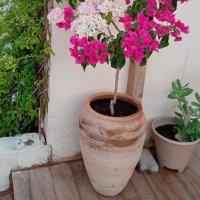 نجد الجزيرة (@aljzyrtnjd) 's Twitter Profile