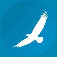 iiTranslation (@iitranslation) 's Twitter Profile