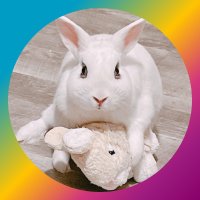 ｴﾋﾞｿﾞｰ🇺🇸🇯🇵人生消化試合🦭 (@jeoshawaii) 's Twitter Profile Photo