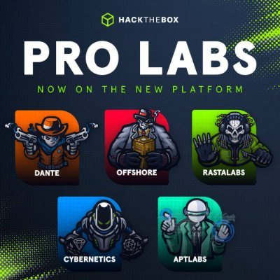 HackTheBox Pro Labs Writeups - DM me for details