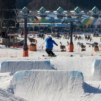 春夏秋は米農家冬はフリースタイルスキーしてます。