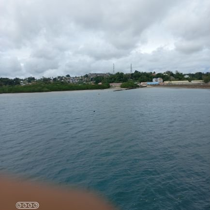 yaham_hassan's profile picture. 