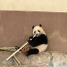 kaaaaajin's profile picture. 30歳未経験でエンジニア転職したけど、自分には無理だと思い半年で退職し事務職に戻った私の日常。