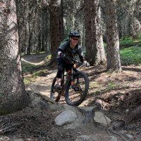Simon Otto (@simonottodvm) 's Twitter Profile