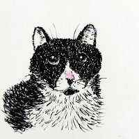 N #26FlorandaSaSenado (@nanoyparticles) 's Twitter Profile