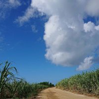 海🌊 (@rjlo7remyqxvvbu) 's Twitter Profile Photo