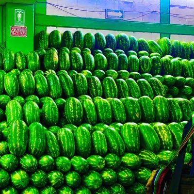 Sandias_M91M93's profile picture. 