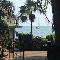 Dustin Mills (@dustinwmills) 's Twitter Profile Photo