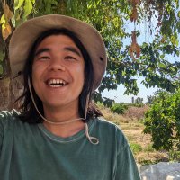 Roberto Hsu Rocha (@robertohsu) 's Twitter Profile