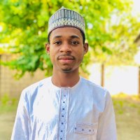 Huzaifa Abubakar (@uzaifa100) 's Twitter Profile