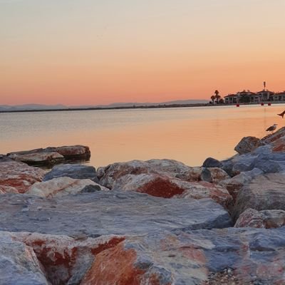 Ozan84541874's profile picture. 