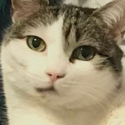 Cammm1967's profile picture. 