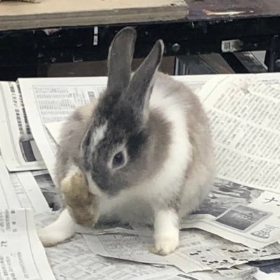 kazuto_yoshi830's profile picture. 05 MAU 基礎デ①