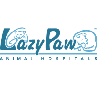 LazyPawVet's profile picture. You want the best for your #pet and so do we. We offer quality #veterinary services and an online pharmacy  to families living in and around the #Frisco area.