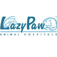 LazyPaw Animal Hosp(@LazyPawVet) 's Twitter Profile Photo