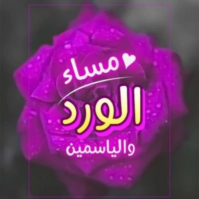 khaldrd36645576's profile picture. 