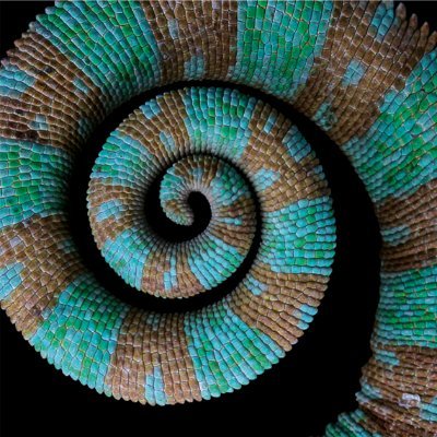Bioinspiration & Biomimetics Profile